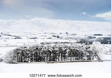 Stock Photo - Peaceful snow scene in the Howgills, near Ravenstonedale; Cumbria, England. Fotosearch