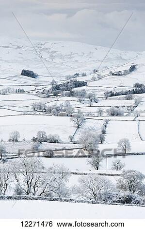 Stock Photograph - Peaceful snow scene in the Howgills, near Ravenstonedale; Cumbria, England. Fotosearch