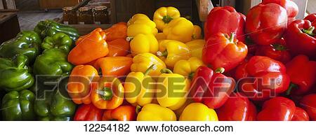 Peppers for sale at a roadside stand; Durham, Quebec, Canada View Large Photo Image Stock Image - Peppers for sale at a roadside stand; Durham, Quebec, Canada. Fotosearch