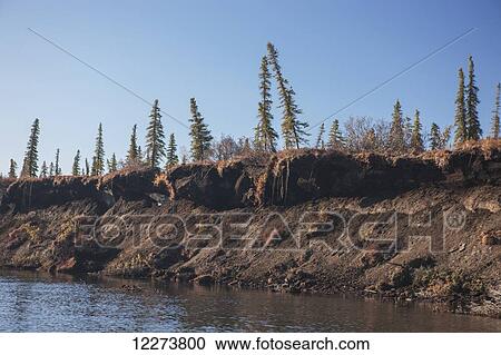 Permafrost bank erosion due to ice lenses along the Noatak River; Noatak, Alaska, United States of America View Large Photo Image Stock Image - Permafrost bank erosion due to ice lenses along the Noatak River; Noatak, Alaska, United States of America. Fotosearch
