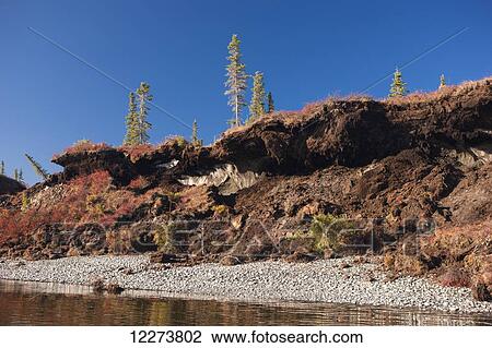 Permafrost bank erosion due to ice lenses along the Noatak River; Noatak, Alaska, United States of America View Large Photo Image Stock Image - Permafrost bank erosion due to ice lenses along the Noatak River; Noatak, Alaska, United States of America. Fotosearch