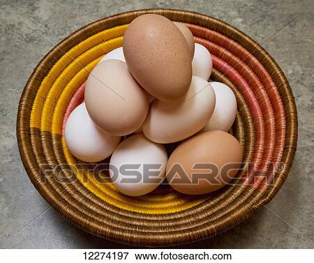 Pile of brown and white eggs in a basket; Chilliwack, British Columbia, Canada View Large Photo Image Stock Photo - Pile of brown and white eggs in a basket; Chilliwack, British Columbia, Canada. Fotosearch