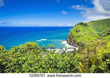 Pololu Valley Lookout, a scenic spot overlooking the lush valley and the surrounding sea cliffs; Island of Hawaii, Hawaii, United States of America View Large Photo Image Stock Image - Pololu Valley Lookout, a scenic spot overlooking the lush valley and the surrounding sea cliffs; Island of Hawaii, Hawaii, United States of America. Fotosearch