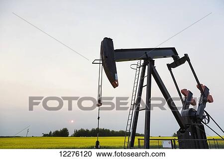 Stock Image - Pumpjack at work on oilfield lease in a canola field in rural Alberta; St. Albert, Alberta, Canada. Fotosearch