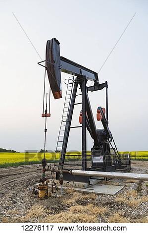 Stock Photo - Pumpjack at work on oilfield lease in a canola field in rural Alberta; St. Albert, Alberta, Canada. Fotosearch