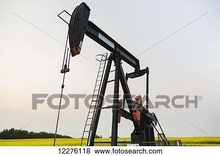 Pumpjack at work on oilfield lease in a canola field in rural Alberta; St. Albert, Alberta, Canada View Large Photo Image Stock Photo - Pumpjack at work on oilfield lease in a canola field in rural Alberta; St. Albert, Alberta, Canada. Fotosearch