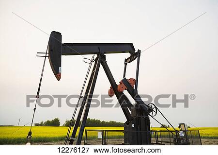 Pumpjack at work on oilfield lease in a canola field in rural Alberta; St. Albert, Alberta, Canada View Large Photo Image Stock Photo - Pumpjack at work on oilfield lease in a canola field in rural Alberta; St. Albert, Alberta, Canada. Fotosearch