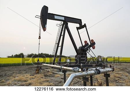 Stock Photograph - Pumpjack at work on oilfield lease in a canola field in rural Alberta; St. Albert, Alberta, Canada. Fotosearch