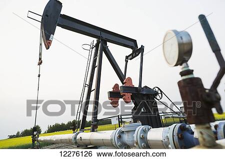 Stock Photograph - Pumpjack at work on oilfield lease in a canola field in rural Alberta; St. Albert, Alberta, Canada. Fotosearch