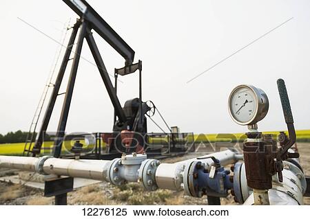 Stock Photography - Pumpjack at work on oilfield lease in a canola field in rural Alberta; St. Albert, Alberta, Canada. Fotosearch