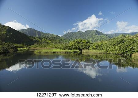 Stock Photo - Reflections in the calm Lumahai River and Valley, near Hanalei; Kauai, Hawaii, United States of America. Fotosearch