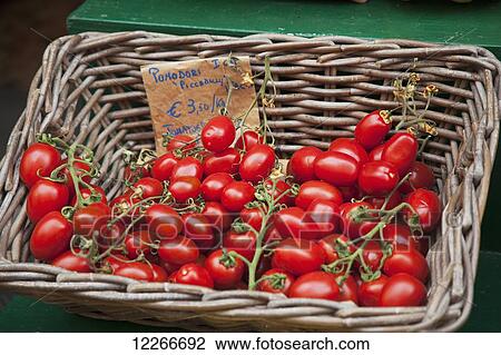 Ripe tomatoes for sale; Riomaggiore, Liguria, Italy View Large Photo Image Stock Image - Ripe tomatoes for sale; Riomaggiore, Liguria, Italy. Fotosearch