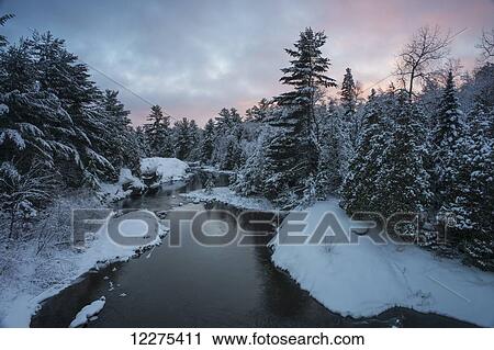 River with snow covered evergreens at sunset; Ontario, Canada View Large Photo Image Stock Image - River with snow covered evergreens at sunset; Ontario, Canada. Fotosearch
