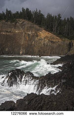 Rugged rock cliff at Cape Falcon and waves crashing against the rocks; Manzanita, Oregon, United States of America View Large Photo Image Stock Photograph - Rugged rock cliff at Cape Falcon and waves crashing against the rocks; Manzanita, Oregon, United States of America. Fotosearch