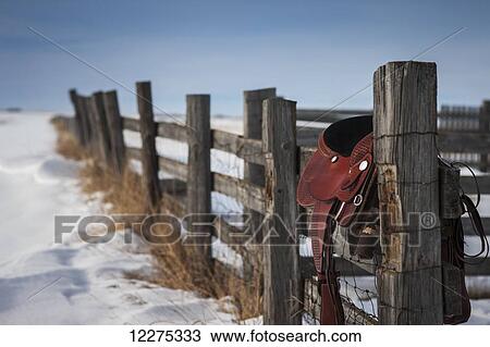Saddle hanging on a wooden fence in winter; Regina, Saskatchewan, Canada View Large Photo Image Stock Image - Saddle hanging on a wooden fence in winter; Regina, Saskatchewan, Canada. Fotosearch