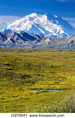 Stock Image - Scenic view of Mt. McKinley with the tundra covered Muldrow Glacier and tundra pond in the foreground, Denali National Park; Alaska, United States of America. Fotosearch
