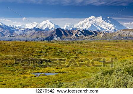 Stock Image - Scenic view of Mt. McKinley with the tundra covered Muldrow Glacier and tundra pond in the foreground, Denali National Park; Alaska, United States of America. Fotosearch