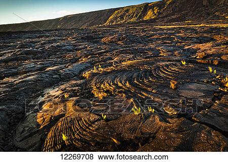 Stock Photo - Setting sun light on lava field, Hawaii Volcanoes National Park; Island of Hawaii, Hawaii, United States of America. Fotosearch
