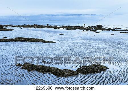Stock Image - Shore and fog at La Malbaie; Charlevoix, Quebec, Canada. Fotosearch