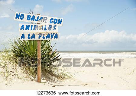 Sign prohibiting animals on the beach; Valizas, Uruguay View Large Photo Image Stock Photograph - Sign prohibiting animals on the beach; Valizas, Uruguay. Fotosearch