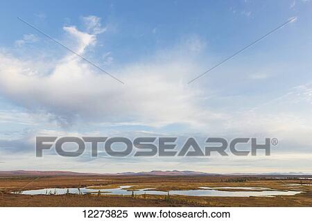 Stock Photography - Small lakes and tundra display autumn colours; Noatak, Alaska, United States of America. Fotosearch