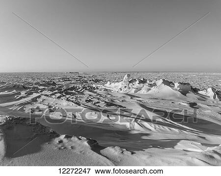 Snow drifts covering sea ice pressure ridges at Point Barrow, Arctic Alaska, in winter; Barrow, Alaska, United States of America View Large Photo Image Stock Photo - Snow drifts covering sea ice pressure ridges at Point Barrow, Arctic Alaska, in winter; Barrow, Alaska, United States of America. Fotosearch