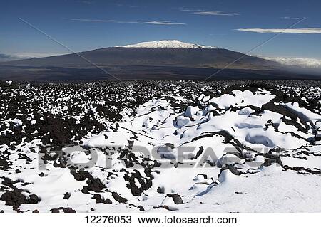 Snow on Aa lava, Mauna Loa snow and Mauna Kea in background, from Mauna Loa Obervatory Road; Island of Hawaii, Hawaii, United States of America View Large Photo Image Stock Image - Snow on Aa lava, Mauna Loa snow and Mauna Kea in background, from Mauna Loa Obervatory Road; Island of Hawaii, Hawaii, United States of America. Fotosearch