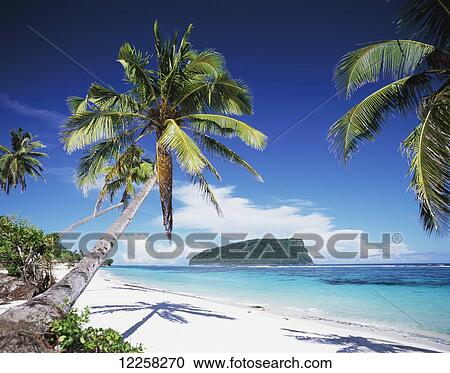 Southeast coast of Upolu Island; Upolu Island, Samoa View Large Photo Image Stock Image - Southeast coast of Upolu Island; Upolu Island, Samoa. Fotosearch