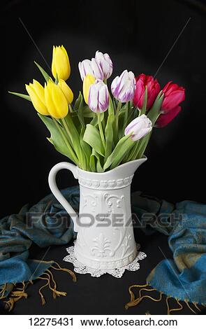 Spring coloured tulips in a white ceramic vase with handle; British Columbia, Canada View Large Photo Image Stock Image - Spring coloured tulips in a white ceramic vase with handle; British Columbia, Canada. Fotosearch