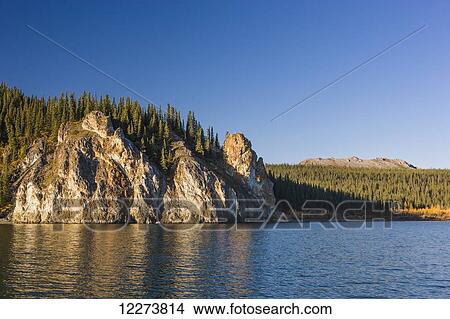 Spruce trees top the cliffs of the Lower Canyon of the Noatak River; Noatak, Alaska, United States of America View Large Photo Image Picture - Spruce trees top the cliffs of the Lower Canyon of the Noatak River; Noatak, Alaska, United States of America. Fotosearch