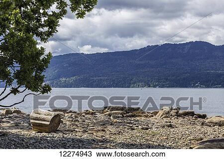 Stock Image - Stony beach at Coles Bay; British Columbia, Canada. Fotosearch