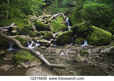 Stock Photo - Stream flowing through Mossy Glen State Preserve, near Edgewood; Iowa, United States of America. Fotosearch