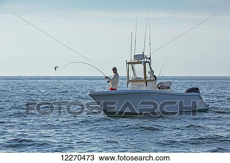 Striper fishing in the Boston harbour; Boston, Massachusetts, United States of America View Large Photo Image Stock Image - Striper fishing in the Boston harbour; Boston, Massachusetts, United States of America. Fotosearch