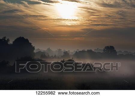 Summer morning with fog on a Kent farm; Kent, England View Large Photo Image Stock Image - Summer morning with fog on a Kent farm; Kent, England. Fotosearch