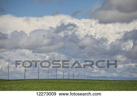 Stock Photo - Summer on the prairies; Winnipeg, Manitoba, Canada. Fotosearch