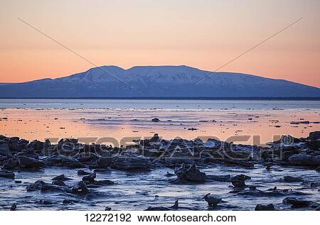 Stock Image - Sunset light over an icy Cook Inlet and snowcapped Mount Susita, with sea ice in the foreground in winter; Anchorage, Alaska, United States of America. Fotosearch