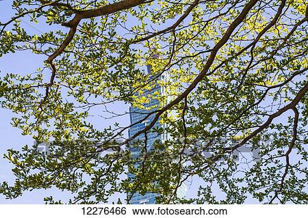 Taipei 101 skyscraper viewed through the green leaves on a tree; Taipei, Taiwan View Large Photo Image Stock Photograph - Taipei 101 skyscraper viewed through the green leaves on a tree; Taipei, Taiwan. Fotosearch