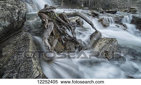 Stock Photography - Tangle Creek waterfalls, Jasper National Park; Alberta, Canada. Fotosearch