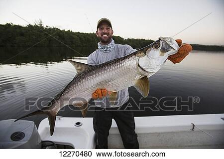 Tarpon fishing; Puerto Rico View Large Photo Image Stock Image - Tarpon fishing; Puerto Rico. Fotosearch
