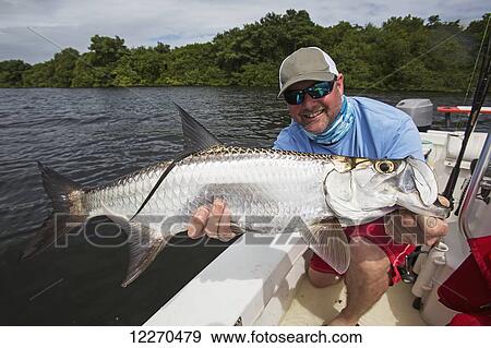 Tarpon fishing; Puerto Rico View Large Photo Image Stock Photo - Tarpon fishing; Puerto Rico. Fotosearch