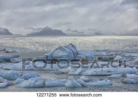 Stock Photography - The glacial lagoon Jokulsarlon is full of icebergs waiting to be washed out to the ocean on the south coast of Iceland; Jokulsarlon, Iceland. Fotosearch