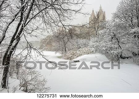 The lake frozen over and snow-covered, Central Park; New York City, New York, United States of America View Large Photo Image Stock Image - The lake frozen over and snow-covered, Central Park; New York City, New York, United States of America. Fotosearch