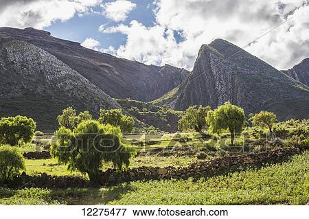 The late afternoon sun lights up the trees and landscape; Toro Toro, Bolivia View Large Photo Image Stock Photo - The late afternoon sun lights up the trees and landscape; Toro Toro, Bolivia. Fotosearch