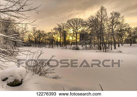 Stock Image - The Pool frozen over at sunrise in Central Park; New York City, New York, United States of America. Fotosearch