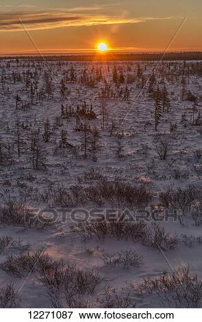 The sun rises over the shoreline and trees of Hudson Bay; Manitoba, Canada View Large Photo Image Stock Photo - The sun rises over the shoreline and trees of Hudson Bay; Manitoba, Canada. Fotosearch