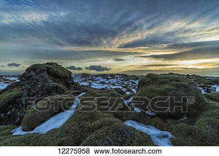 The sun sets over a moss covered lava flow along the south coast of Iceland; Iceland View Large Photo Image Stock Photo - The sun sets over a moss covered lava flow along the south coast of Iceland; Iceland. Fotosearch