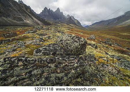 The Tombstone Valley in autumn colours with Tombstone Mountain rising above the tundra in Tombstone Territorial Park; Yukon, Canada View Large Photo Image Stock Photo - The Tombstone Valley in autumn colours with Tombstone Mountain rising above the tundra in Tombstone Territorial Park; Yukon, Canada. Fotosearch