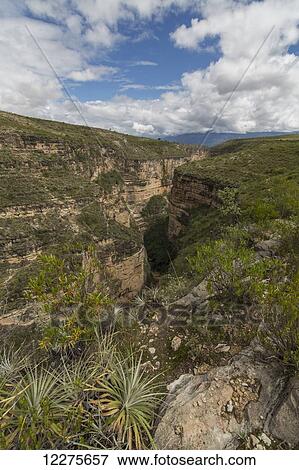 Stock Photo - The Toro Toro National Park canyon; Bolivia. Fotosearch