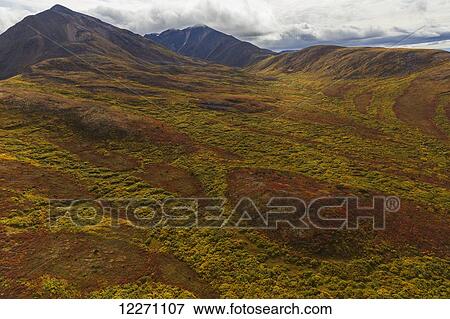 The vibrant coloured tundra on the hillsides surrounding Dawson City; Yukon, Canada View Large Photo Image Stock Photo - The vibrant coloured tundra on the hillsides surrounding Dawson City; Yukon, Canada. Fotosearch