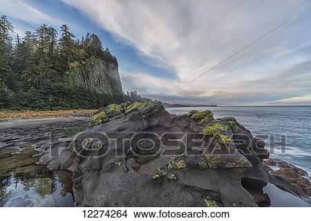The volcanic bedrock near Tow Hill, Haida Gwaii at sunrise, Naikoon Provincial Park; Masset, British Columbia, Canada View Large Photo Image Picture - The volcanic bedrock near Tow Hill, Haida Gwaii at sunrise, Naikoon Provincial Park; Masset, British Columbia, Canada. Fotosearch